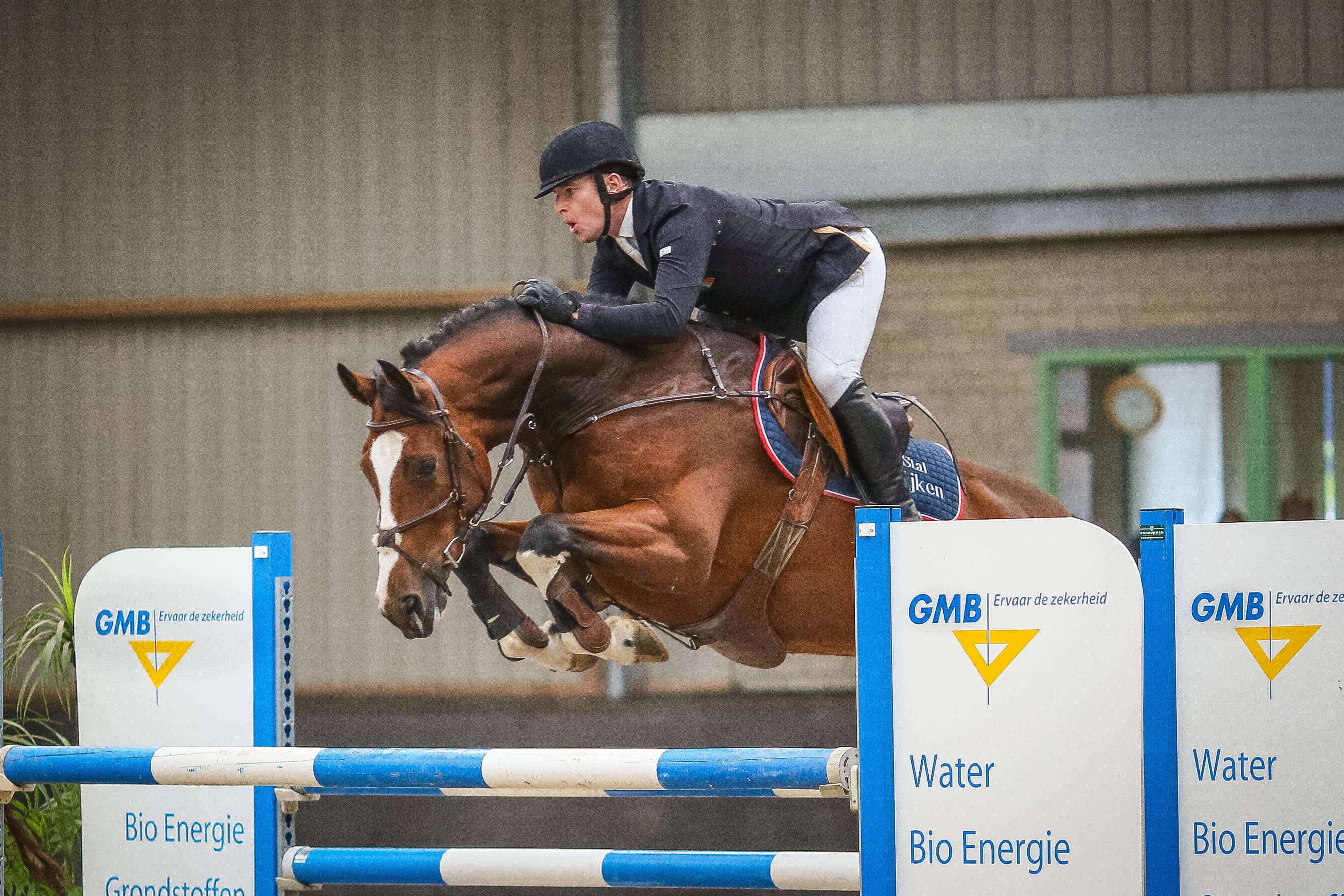 (c) Jongepaardencompetitie.nl